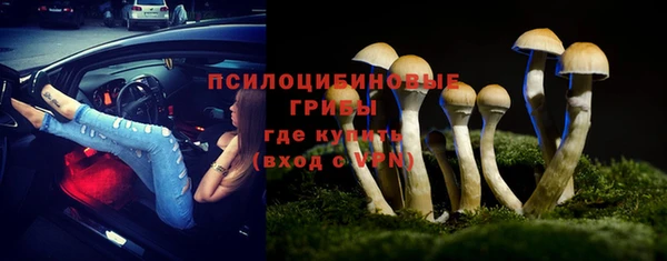 крисы Бронницы