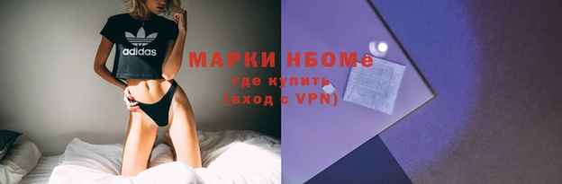 твердый Аркадак