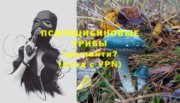 твердый Аркадак